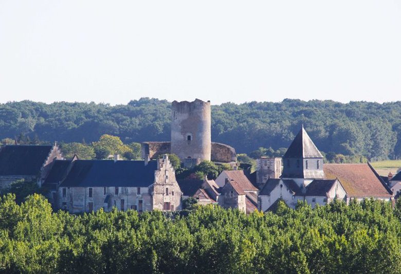 Cité médiévale et son donjon