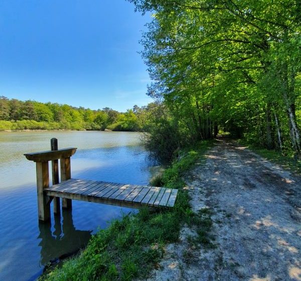 Sentier des étangs