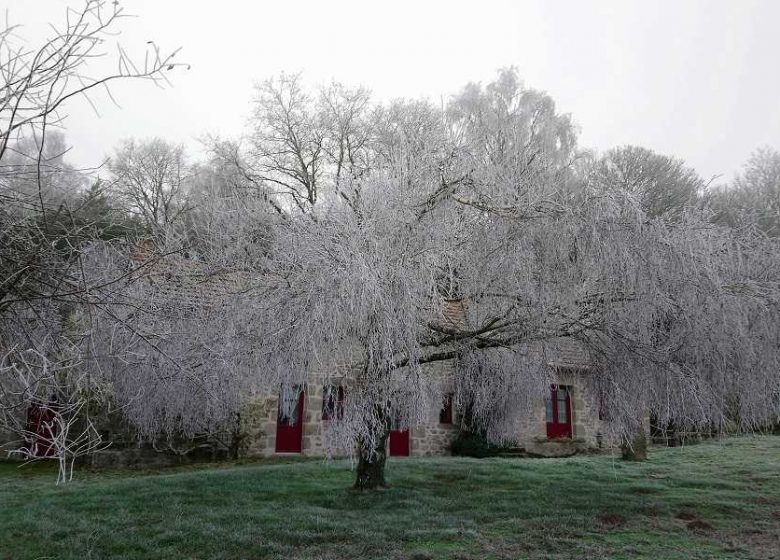 GÎTE DU VIEUX CHÊNE