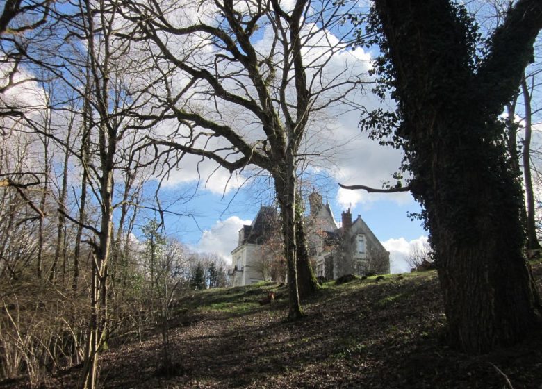 Château du Breuil Chédigny