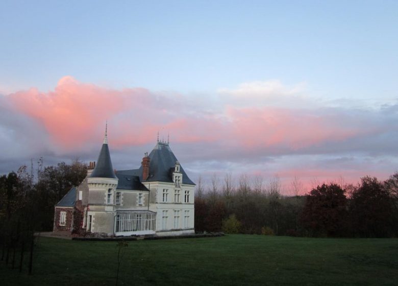 Château du Breuil Chédigny