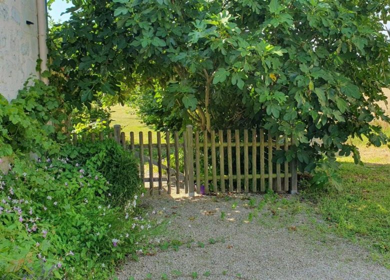 L’Ile au Bois Dormant