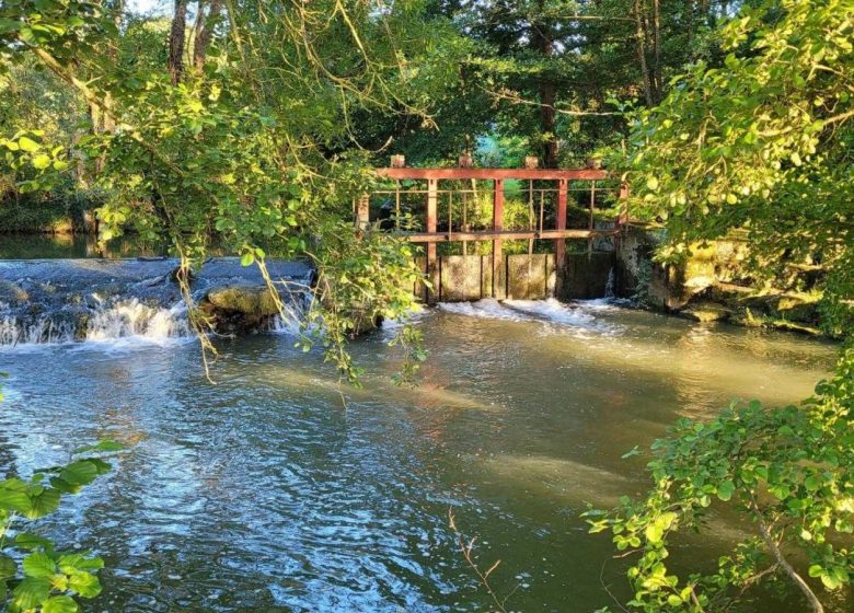 Le Moulin des Foulons