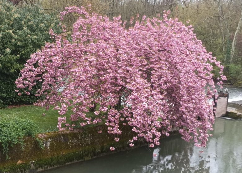 Le Grand Moulin