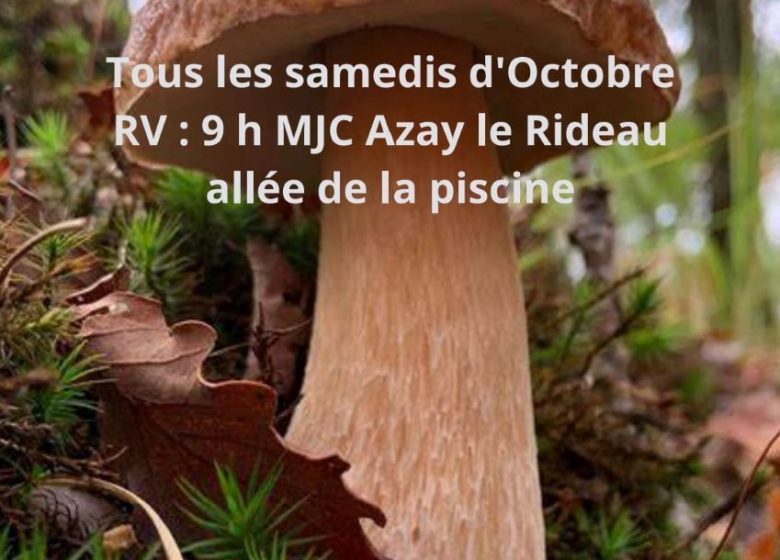 Sortie champignon en Touraine