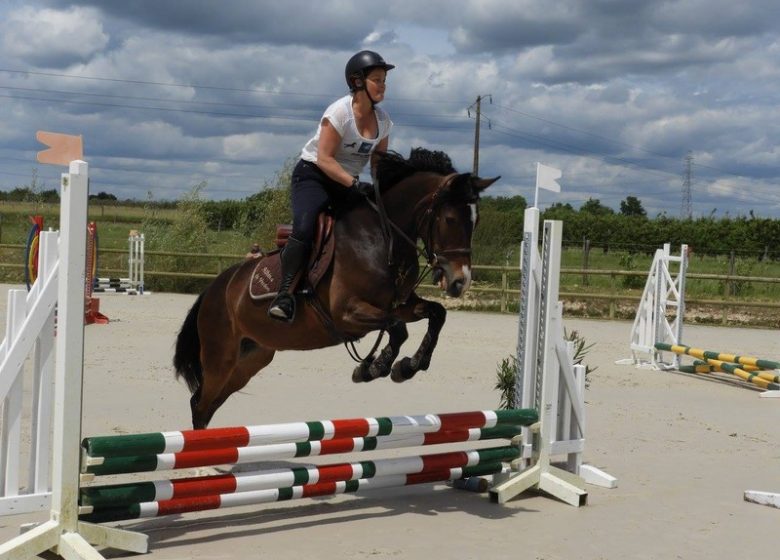 Centre Équestre et Poney Club – Écurie Pujol