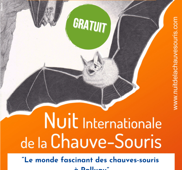 Balade nature : Nuit de la chauve souris