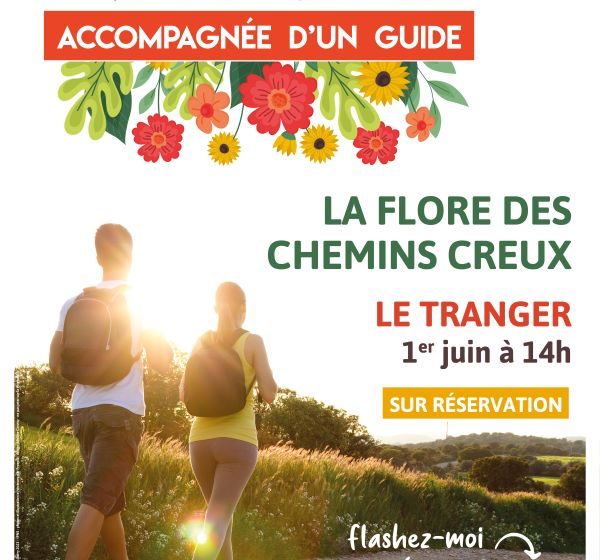 Sortie nature : Flore des chemins creux