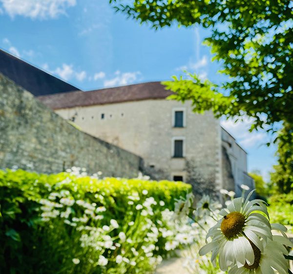 Jardin des Cordeliers