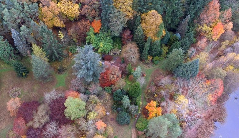 Arboretum de la Martinière