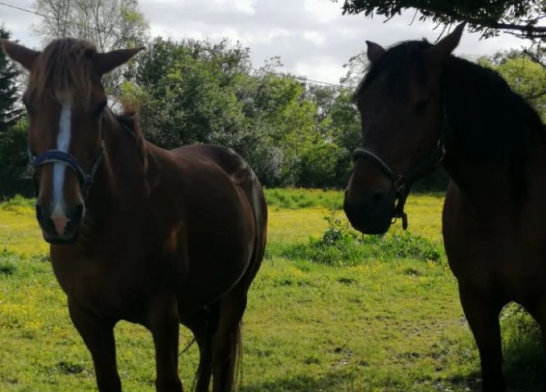 Longère à la Ferme Equestre en campagne