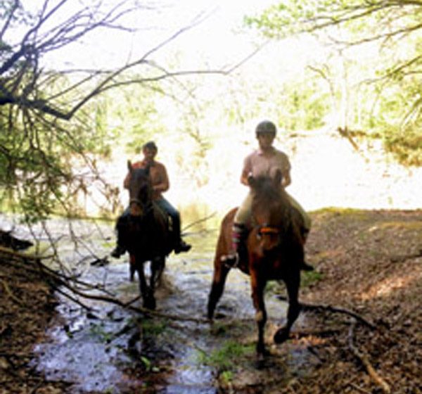 La Brenne à cheval : circuits en marguerite au départ du domaine du Coudreau