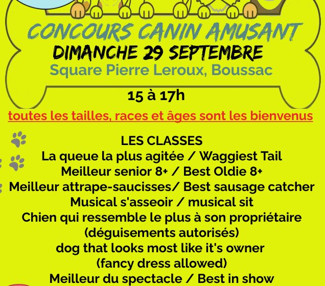 Concours canin amusant