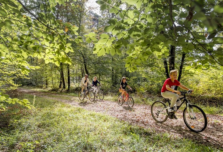 L’échappée royale – Boucle vélo n°1