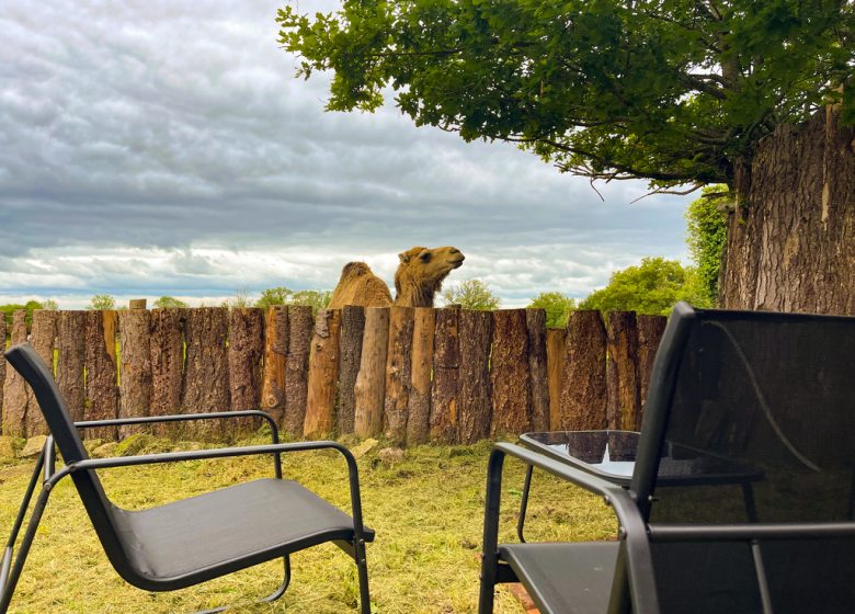 Le Logis des animaux mystérieux du parc animalier des Clautres