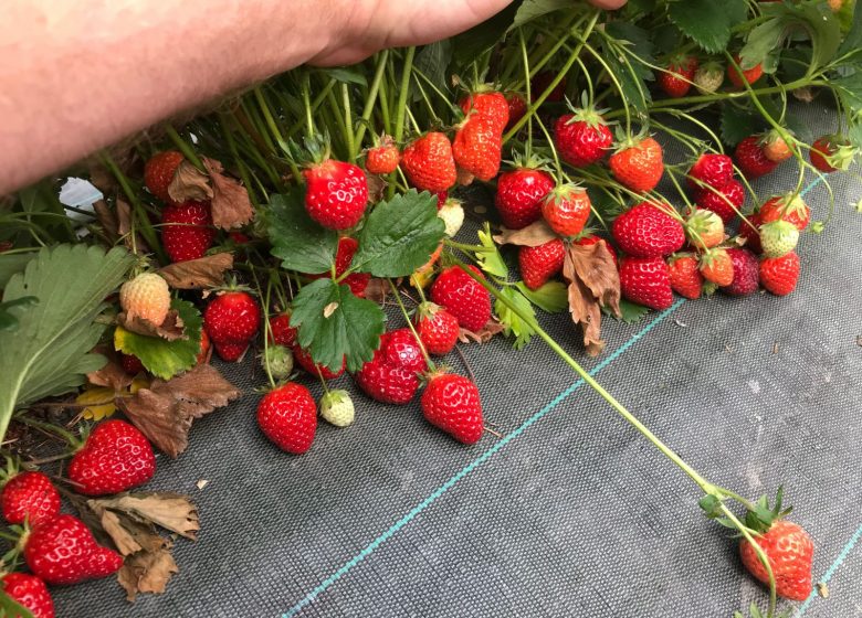 Le chant de la rivière en Berry