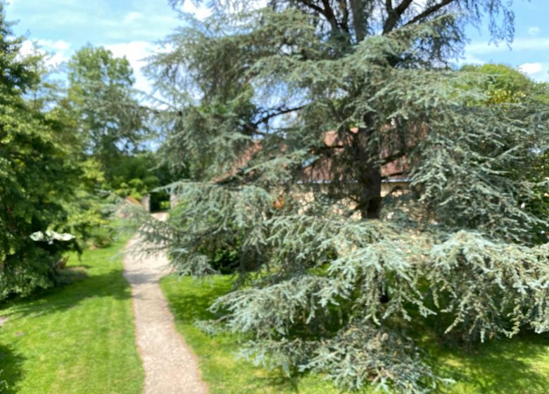 Le chant de la rivière en Berry