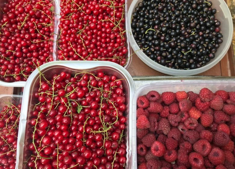 Le chant de la rivière en Berry