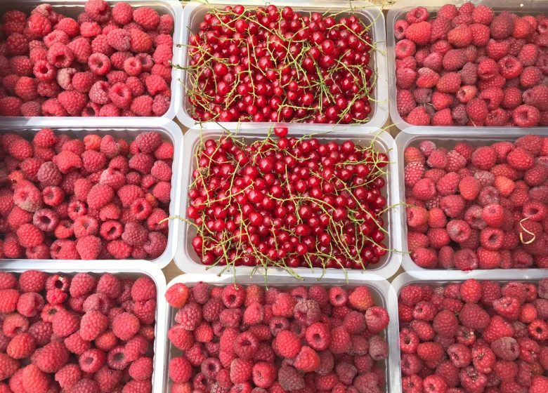 Le chant de la rivière en Berry