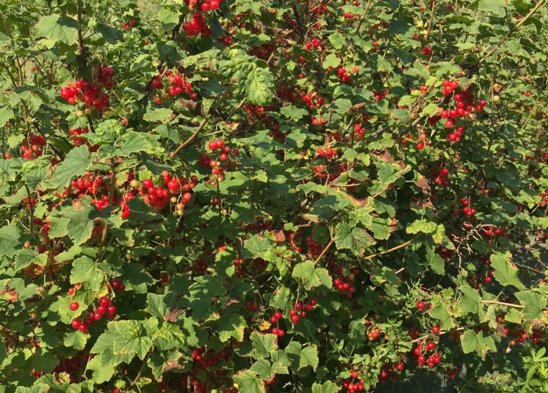 Le chant de la rivière en Berry