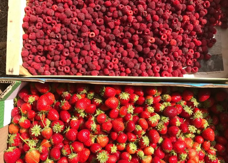 Le chant de la rivière en Berry