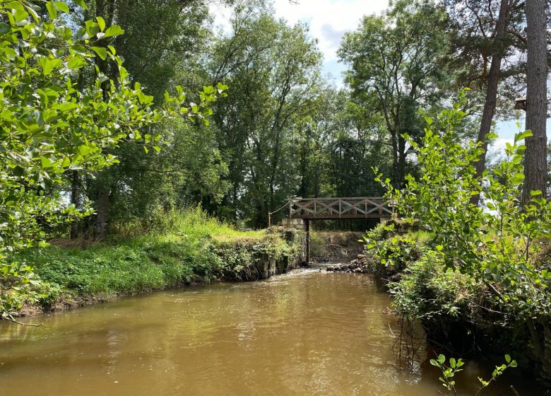 Le chant de la rivière en Berry