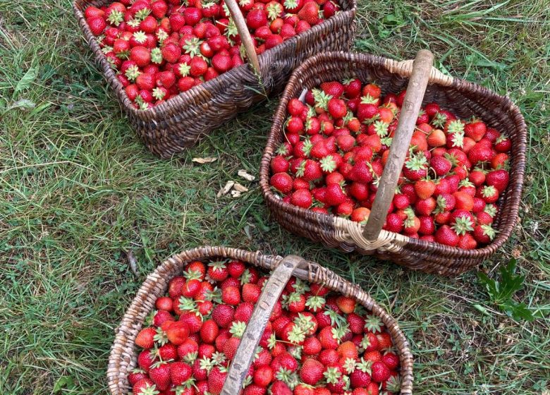 Le chant de la rivière en Berry