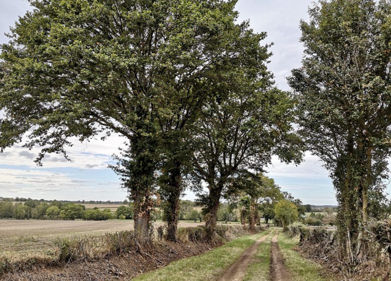 Circuit pédestre n° 29 « Sur le chemin de St Jacques de Compostelle »