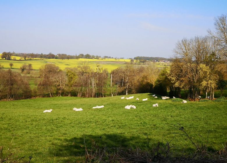 Circuit pédestre n°72 : Le bocage Sérézien