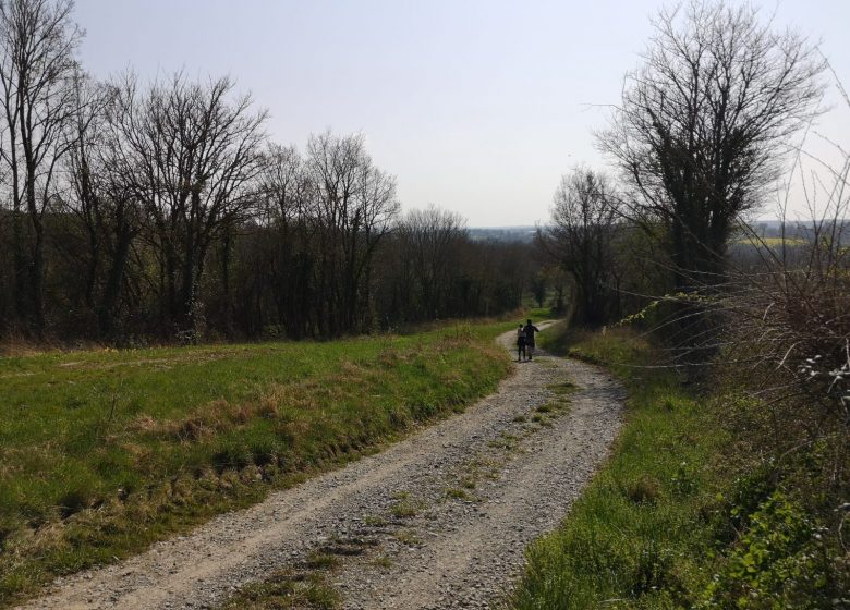 Circuit pédestre n°28 « Un paysage préservé le long du Gourdon »