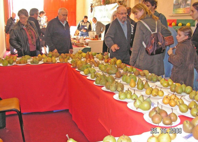 43e Journées de la pomme et des fruits de Pays