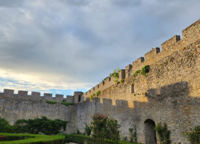 Château de Fontenay