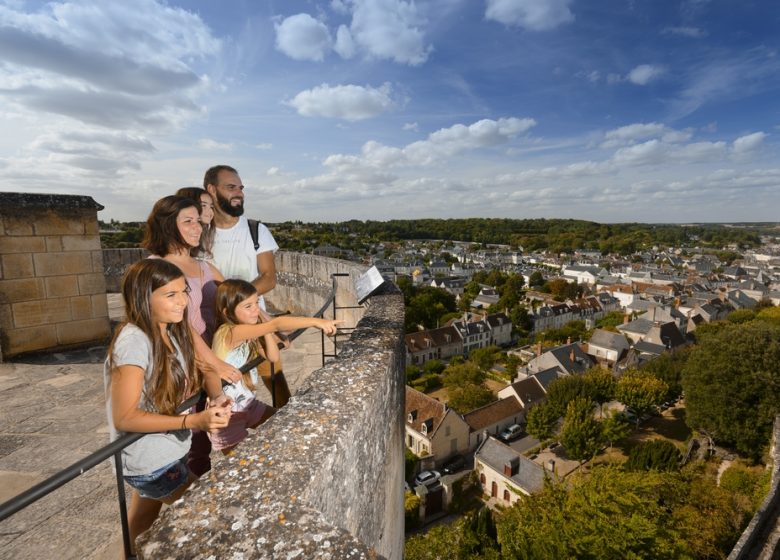 Visite thématique « La Cité royale de Loches à 360 degrés »