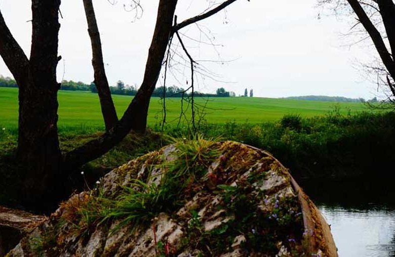 Plan d’eau de Mers-sur-Indre et parcours de pêche d’Angibault à Montipouret