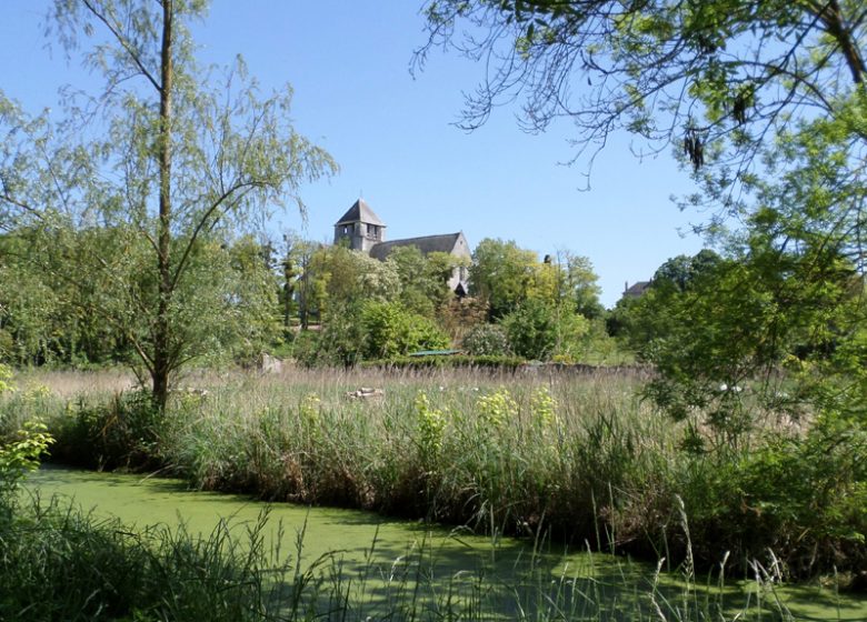 Balade autour de l’abbaye