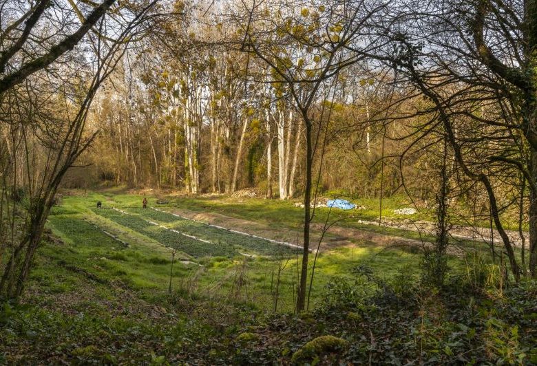 La Belle Affaire, la Cressonnière