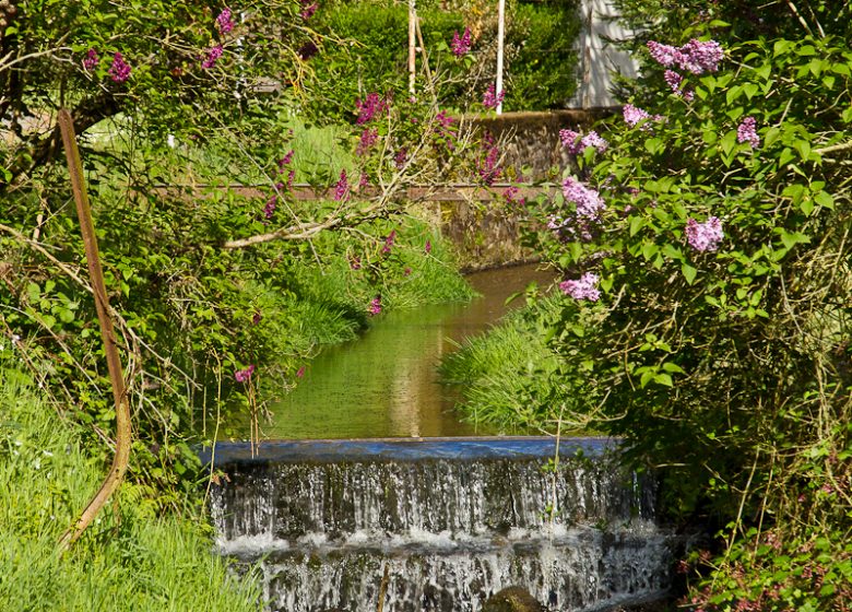 La source de l’Indre