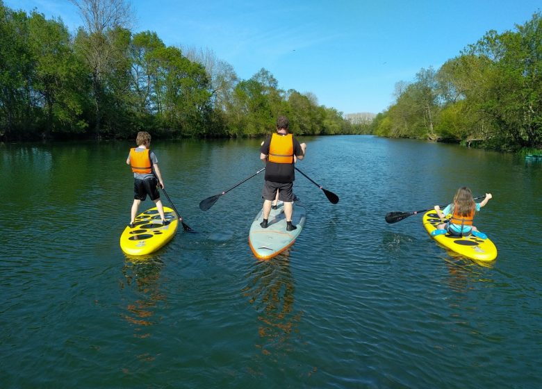 Sensation paddle