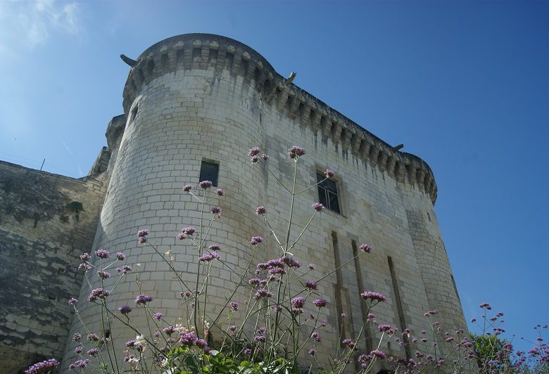 Visite guidée de la Porte Royale