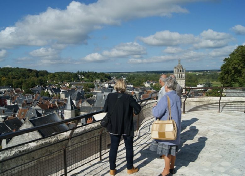 Visite libre de la terrasse de la Porte royale