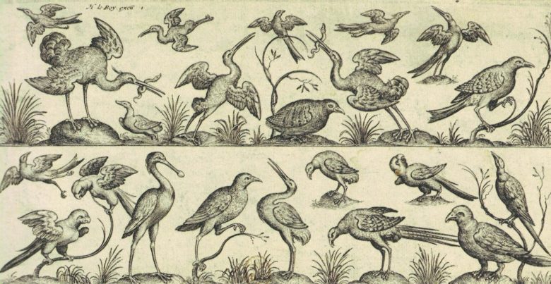 Conférence « des oiseaux et des livres, des métamorphoses d’Ovide à l’Histoire naturelles de Buffon »