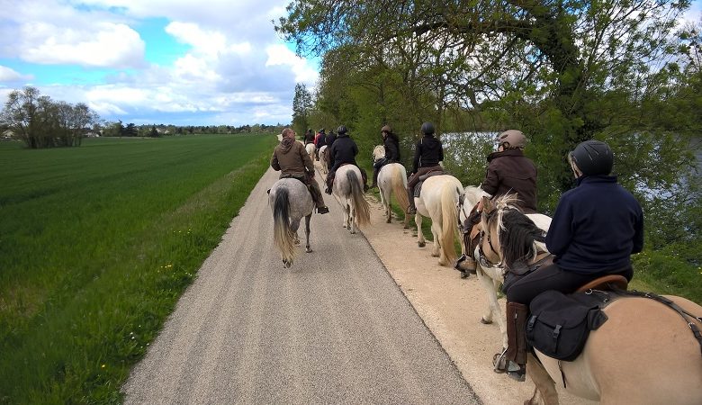 Ecuries la Clé des Champs