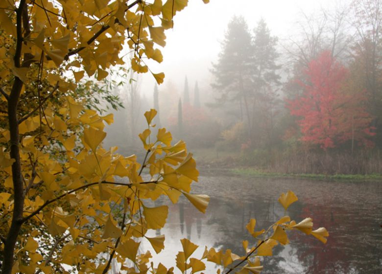 Arboretum de la Martinière