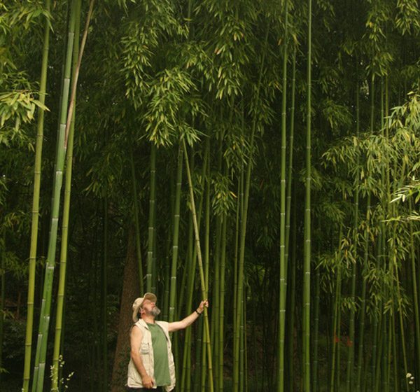 Arboretum de la Martinière