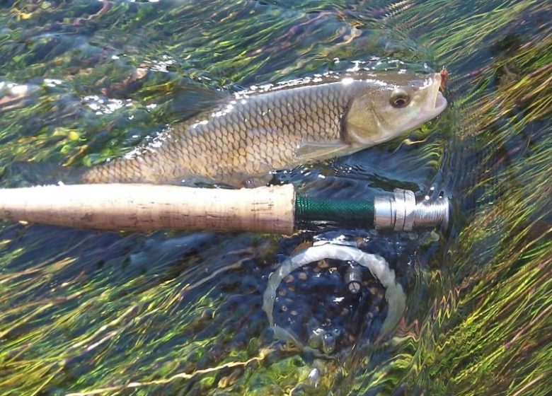 Daniel Souchet Moniteur guide de pêche