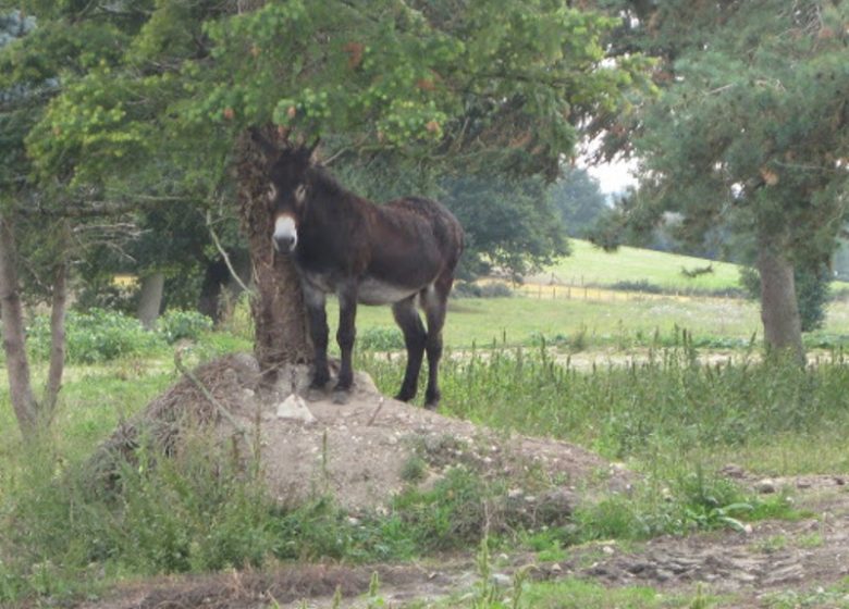 Ferme des Bigornes