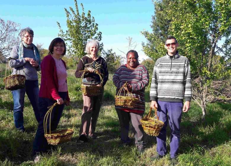 Panier sur arceaux