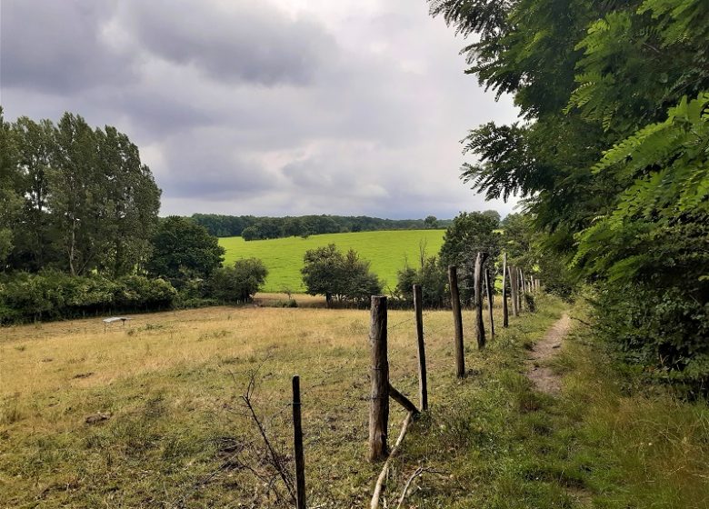 Le lys dans la vallée