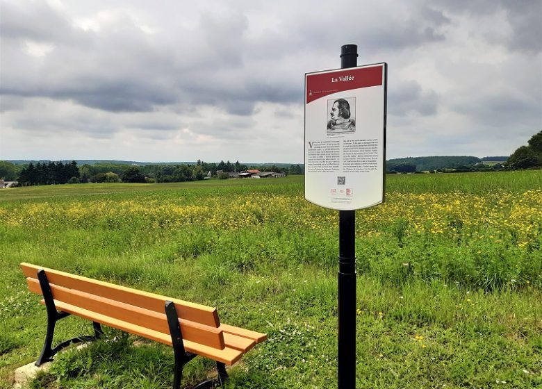 Le lys dans la vallée